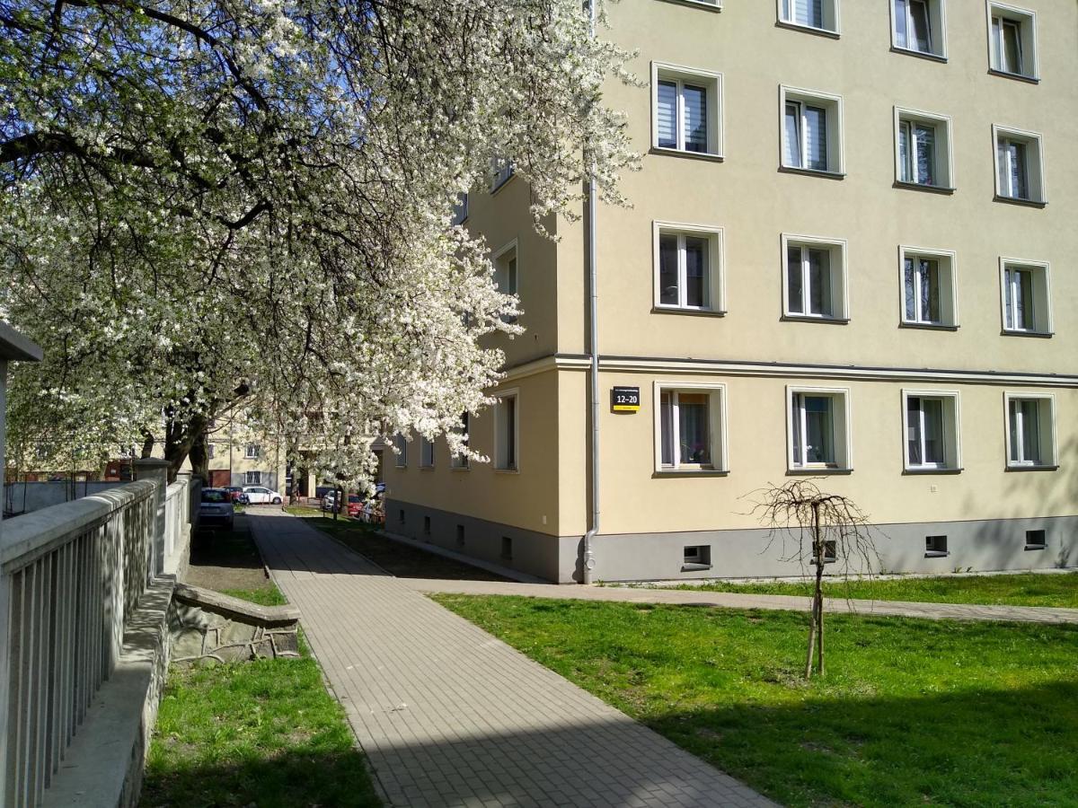 Apartment Bluebird Katowice Near Spodek Mck & City Center ภายนอก รูปภาพ